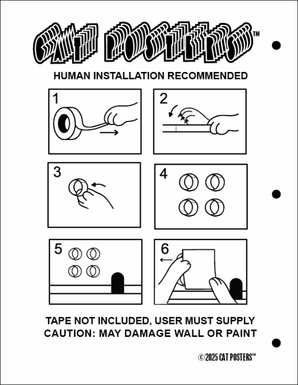 Cat Posters Supplement A1 Page 01 - Image 2
